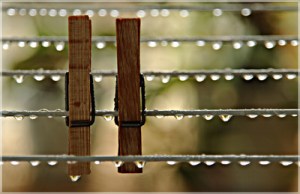 769355_web_r_by_birgith_pixelio-de